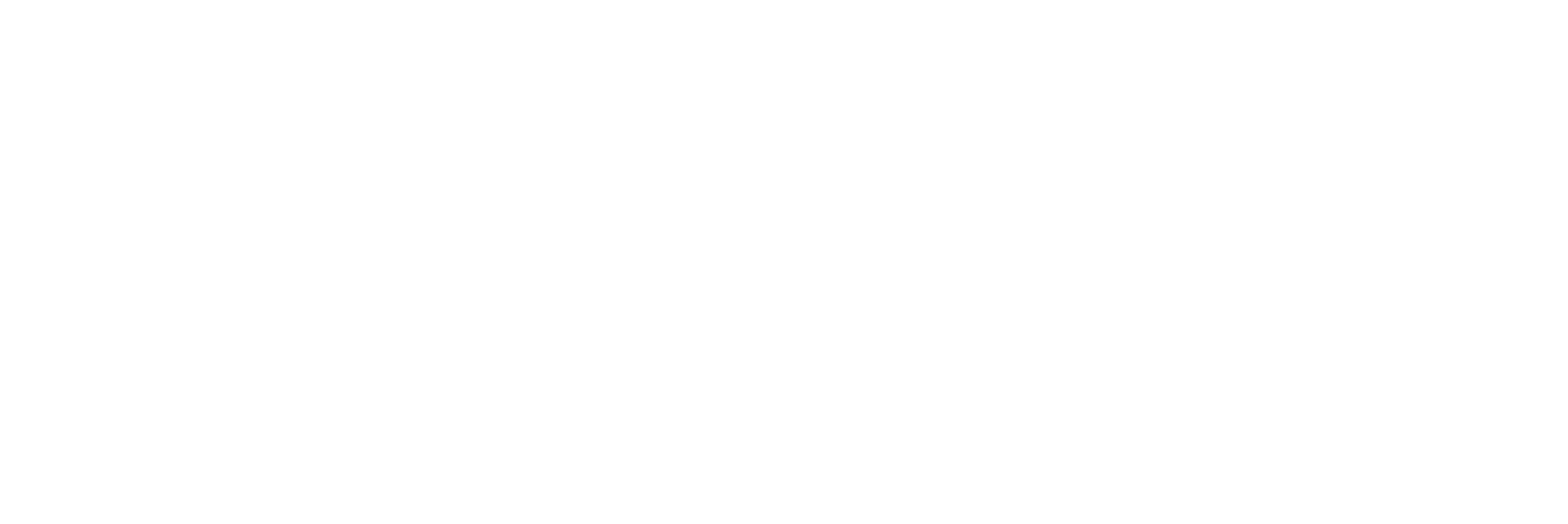 LOGO VOLKSWAGEN LAI_trasp2